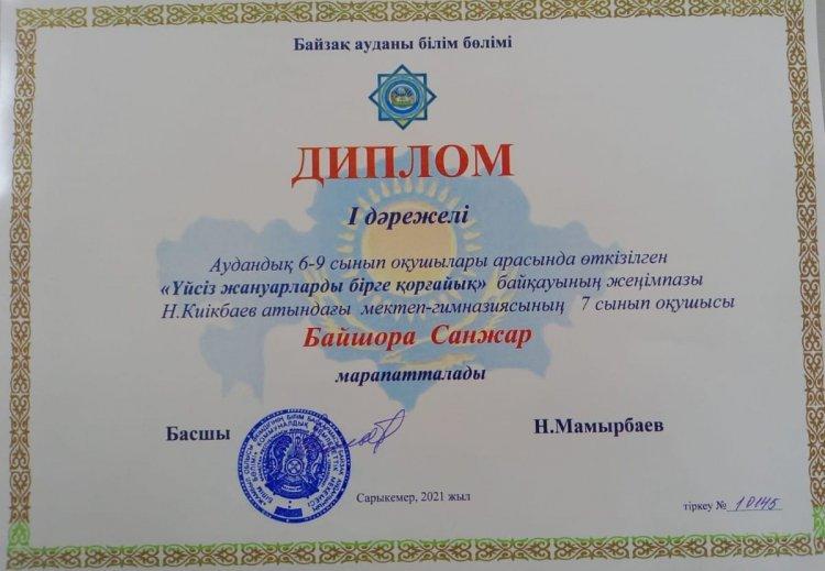 "Үйсіз жануарларды бірге қорғайық" байқауы